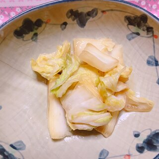 ヨーグルト味噌の白菜漬け(赤味噌・塩あり)